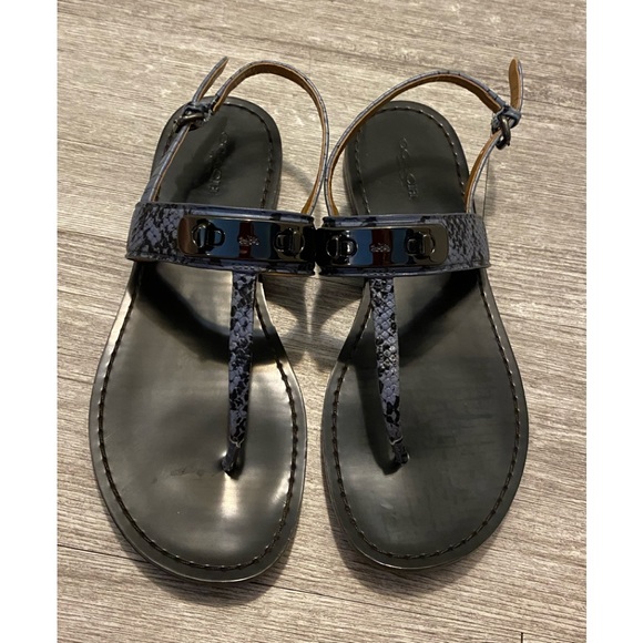 Coach Shoes - Coach Gracie Swagger. Blue/black snake leather thongs flat sandals size 8 medium